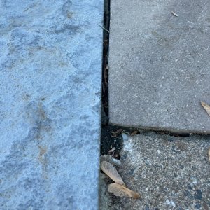 decking2.jpeg