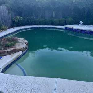 IMG_6387.jpeg