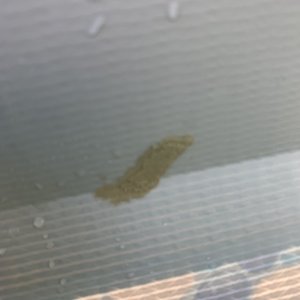 IMG_0918.jpeg
