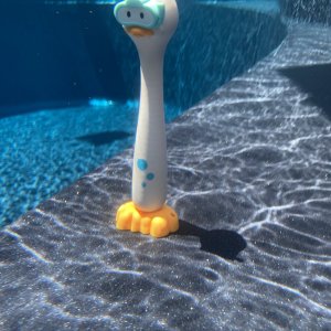 IMG_5094.jpeg
