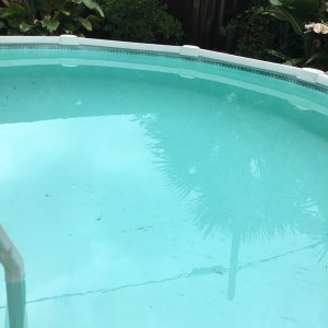 IMG_3692.jpeg