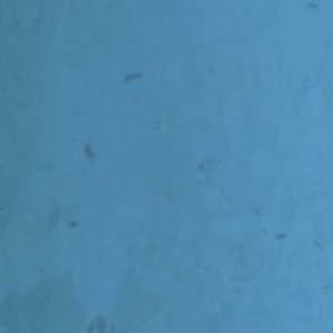 IMG_3463.jpeg