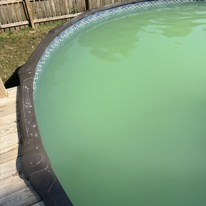 IMG_1686.jpg