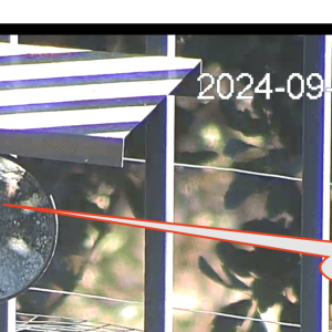 Screen Shot 2024-09-28 at 10.38.00 AM.png