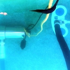 hoserepair1.jpg