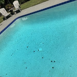 IMG_0037.jpeg