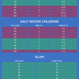 CYA Chart 2.jpg