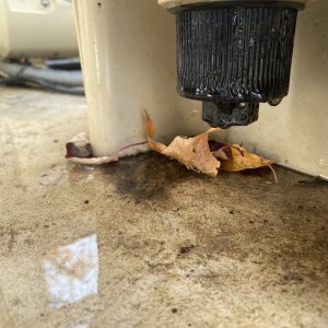 IMG_4317.jpeg