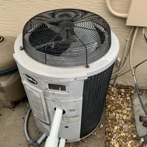 IMG_4322.jpeg
