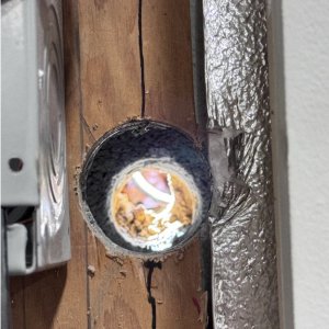 Panel 2.jpg