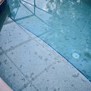 IMG_9106.jpeg