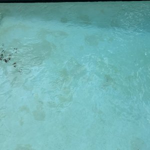IMG_6086.jpeg