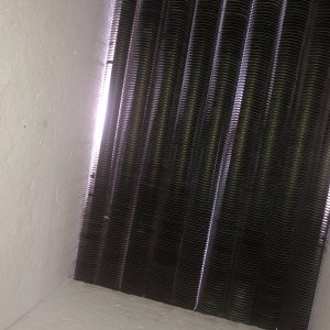 IMG_6968.jpg
