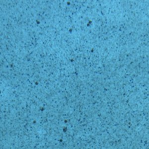 Pool Spots 2.jpeg