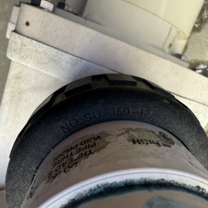 IMG_1485.jpeg