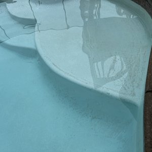 IMG_2088.jpeg