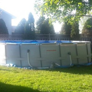 my pool.jpg