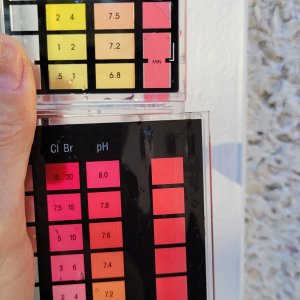 PH test.jpg