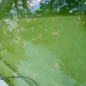pool2.jpg