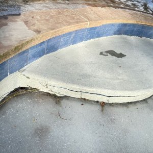 IMG_2256 (1).jpeg