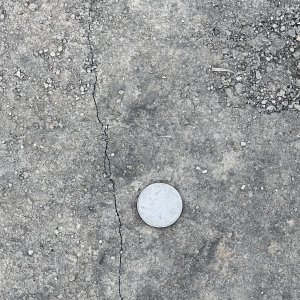 IMG_3695.jpeg