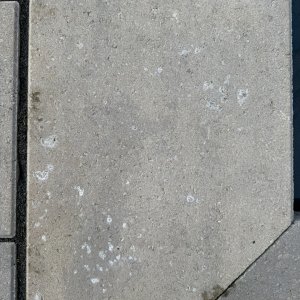IMG_6029.jpeg