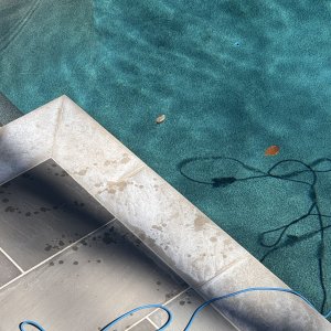 IMG_7621.jpeg