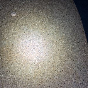 IMG_2427.jpeg
