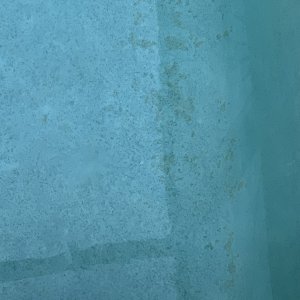 IMG_5803.jpeg