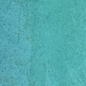 IMG_5809.jpeg