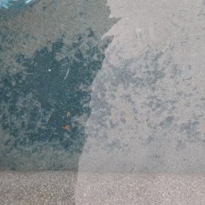 20250329_125609.jpg