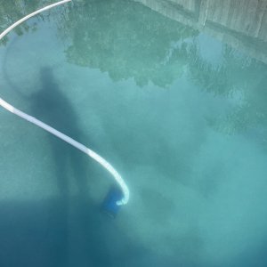 IMG_3772.jpeg