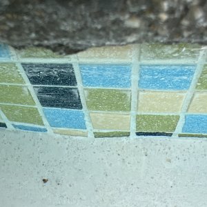 IMG_6830.jpeg