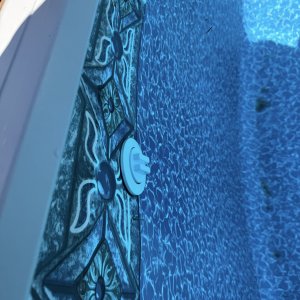 IMG_0320.jpeg