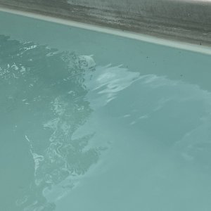 IMG_4388.jpeg