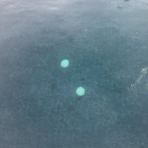 IMG_1912.jpeg