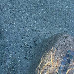 IMG_4560.jpeg