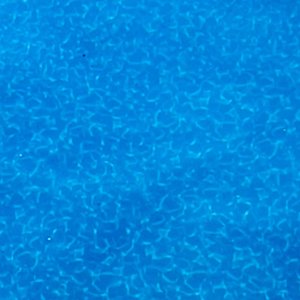 IMG_3610.jpeg