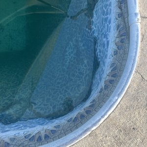 IMG_2273.jpeg