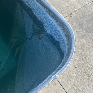 IMG_2272.jpeg