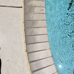 IMG_0351.jpeg