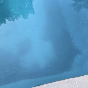 pool2.jpg