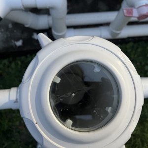 IMG_1974.jpeg