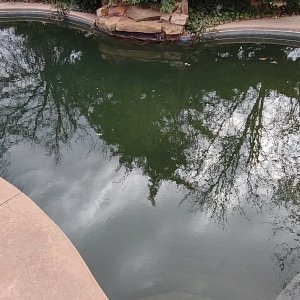IMG_20220317_161150181.jpg
