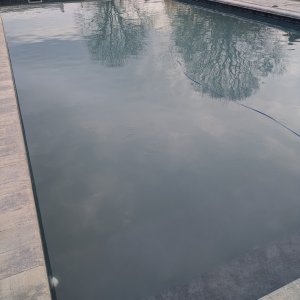 1000038683.jpg