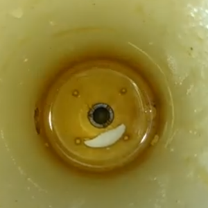 1745701993569.png