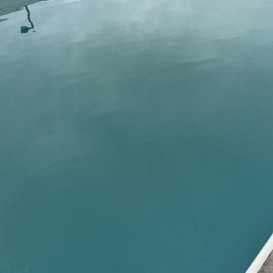 IMG_9570.jpeg