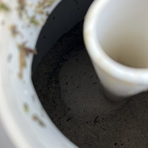 IMG_3038.jpeg