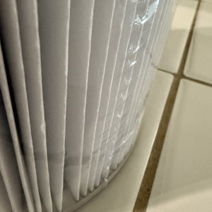 IMG_6370.jpeg