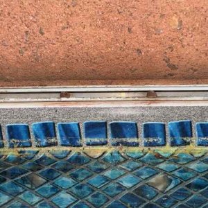 Liner Track - 1.jpeg